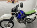 2002 Suzuki Djebel 250, синий, 315000 рублей - вид 11