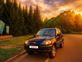 2010 Chevrolet Niva I Рестайлинг, чёрный, 620000 рублей, вид 3