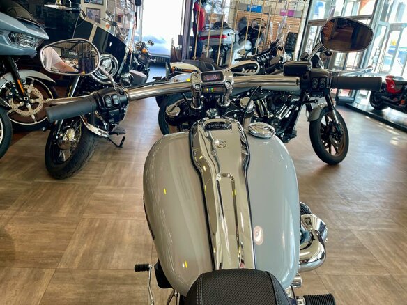2024 Harley-Davidson Breakout, серый, 3300000 рублей - вид 10