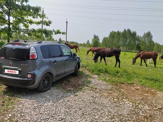 2010 Citroen C3 Picasso I, серый, 450000 рублей, вид 3