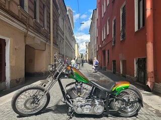 2011 Harley-Davidson Softail Custom, зелёный, 900000 рублей, вид 2