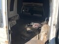 1999 Opel Combo B, белый - вид 5