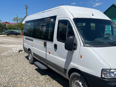 2011 Fiat Professional Ducato, белый, 720000 рублей, вид 2