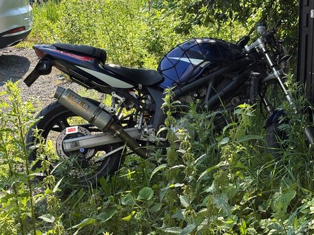 2005 Suzuki SV 400, синий, 168000 рублей, вид 3