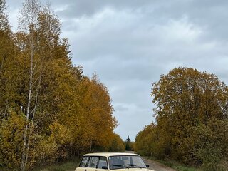 1988 Lada (ВАЗ) 2104, жёлтый, 310000 рублей, вид 2