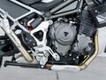 2024 Triumph Tiger 1200, белый, 1725000 рублей - вид 9