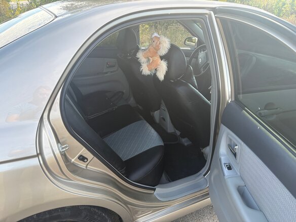 2007 Kia Cerato I, золотистый - вид 18