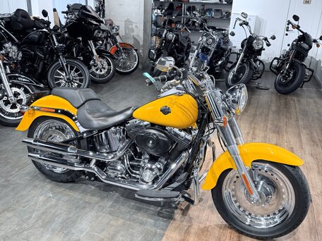 2014 Harley-Davidson Fat Boy, жёлтый, 1399000 рублей, вид 2