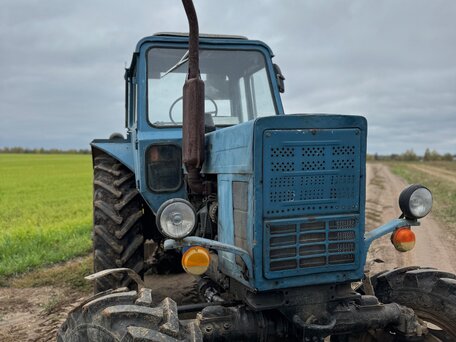 1980 МТЗ (BELARUS) 82, 539000 рублей, вид 2