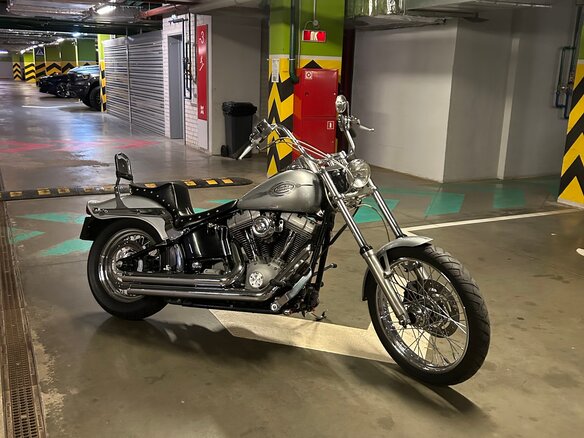 2004 Harley-Davidson Softail Standard, серебристый, 720000 рублей - вид 12
