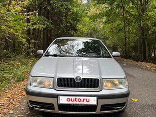 2002 Skoda Octavia I (A4) Рестайлинг, серый, 323000 рублей, вид 2