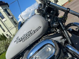 2015 Harley-Davidson Sportster 883, серый, 700000 рублей, вид 3
