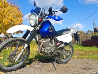 2001 Suzuki Djebel 250, синий, 370000 рублей, вид 4