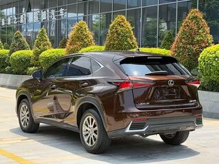 2019 Lexus NX 200 I Рестайлинг, коричневый, 2180000 рублей, вид 4