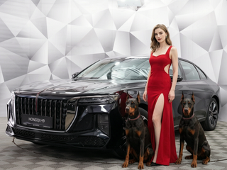2024 Hongqi H9 I Рестайлинг, чёрный, 6490000 рублей, вид 1