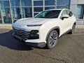 2025 Jetour Dashing I, белый