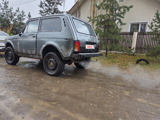 1995 Lada (ВАЗ) 2121 (4x4) I Рестайлинг, серый, 97000 рублей, вид 5