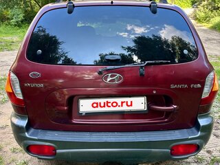 2002 Hyundai Santa Fe I, красный, 600000 рублей, вид 5