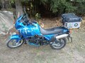 1994 Triumph Tiger 900, синий, 535000 рублей - вид 2