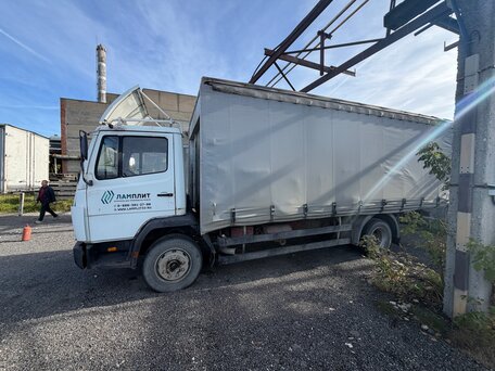 1991 Mercedes-Benz 1317L, белый, 749999 рублей, вид 2