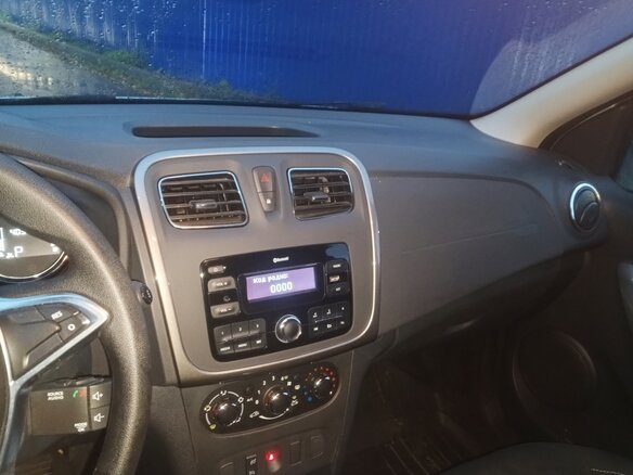2019 Renault Sandero Stepway II Рестайлинг, серый - вид 12