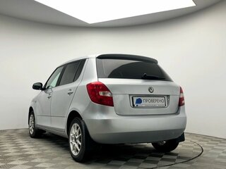 2010 Skoda Fabia II Рестайлинг, серебристый, 348000 рублей, вид 5