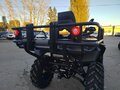 2026 Stels ATV-800 Guepard Cargo, зелёный, 1250000 рублей - вид 6
