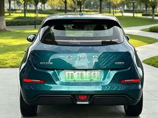 2023 Ora Good Cat 47.8 kWh I, зелёный, 1550000 рублей, вид 5