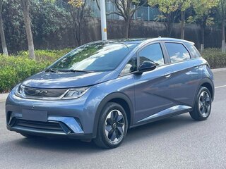 2024 BYD Dolphin 44.9 kWh I, серый, 1240000 рублей, вид 1