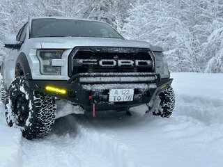 2017 Ford F-150 XIII, серый, 6800000 рублей, вид 2