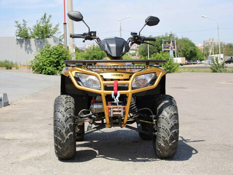2026 Irbis ATV 200U, золотистый, 204100 рублей, вид 2