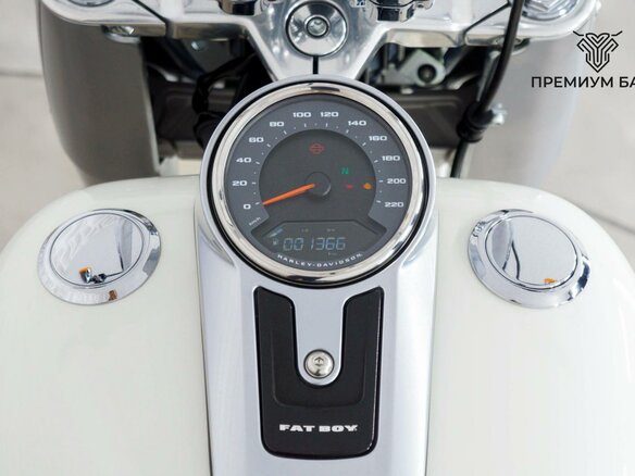 2019 Harley-Davidson Fat Boy, белый, 1949000 рублей - вид 11