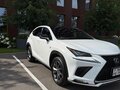 2020 Lexus NX 300 I Рестайлинг, белый, 4250000 рублей - вид 4