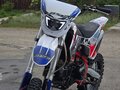 2020 BSE PH 190, красный, 94990 рублей - вид 5