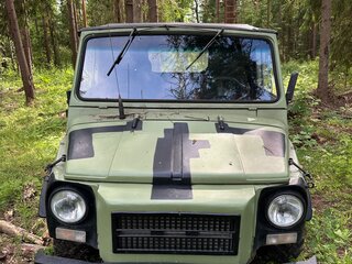 1979 ЛуАЗ 969М, зелёный, 355000 рублей, вид 1