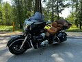 2015 Indian Roadmaster, чёрный, 1146215 рублей - вид 8