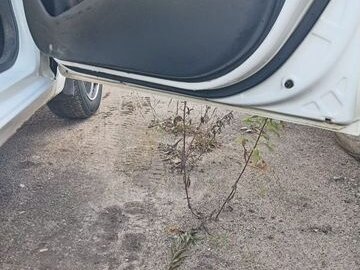 2013 Kia Picanto II, белый - вид 6