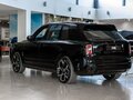 2025 Rolls-Royce Cullinan Black Badge I Рестайлинг (Series II), чёрный, 66500000 рублей - вид 7