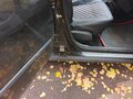 2009 Renault Logan I, чёрный - вид 8