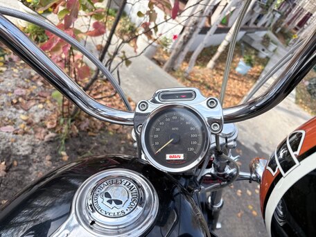 2005 Harley-Davidson Sportster 883, чёрный, 590000 рублей, вид 4