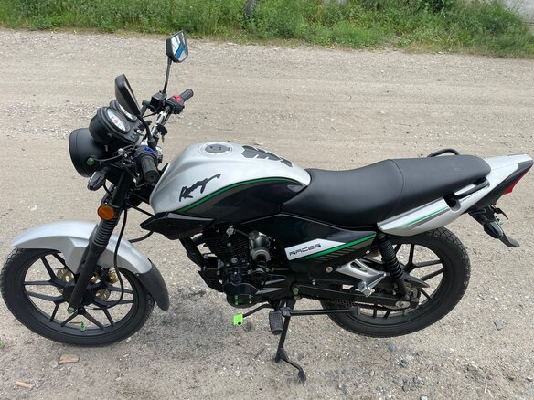 2023 Racer Tiger, серый, 90000 рублей - вид 1