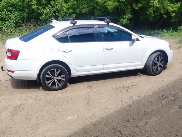 2015 Skoda Octavia III (A7), белый, 820000 рублей - вид 21