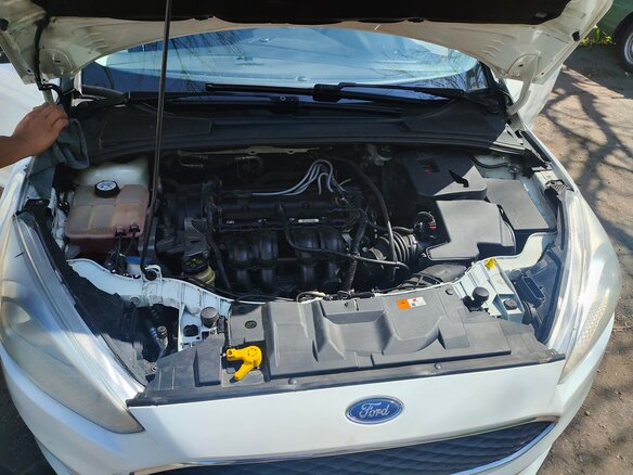 2015 Ford Focus III Рестайлинг, белый, 580000 рублей - вид 24