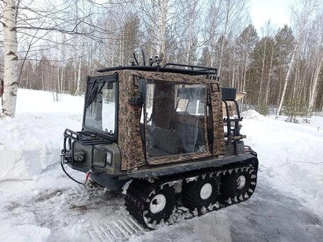 2006 Max Max IV, серый, 1210000 рублей, вид 1