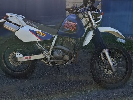 1998 Suzuki Djebel 250, белый, 210000 рублей, вид 2