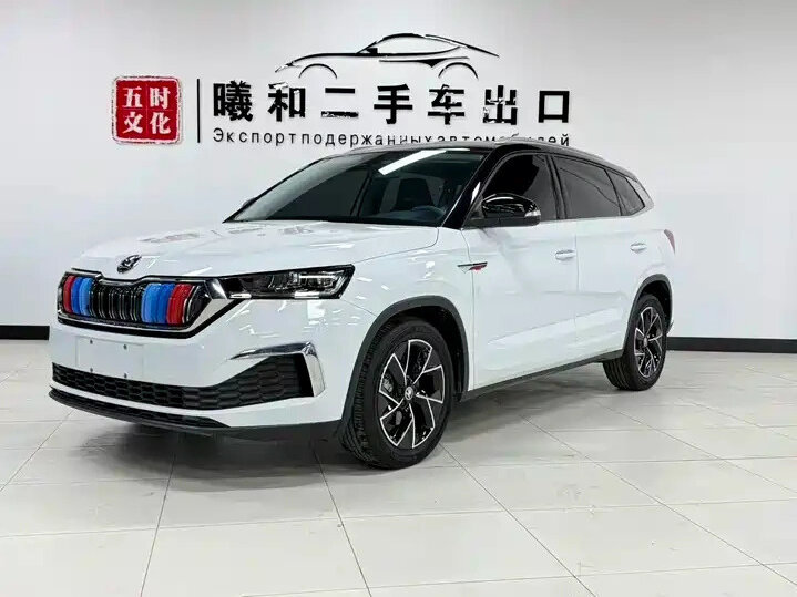 Открыть фотографии: Skoda Kamiq I (China Market)
