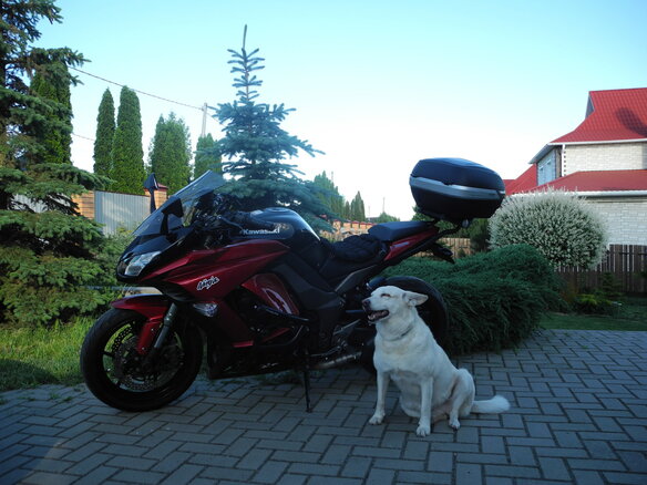 2011 Kawasaki Z 1000SX, красный, 670000 рублей