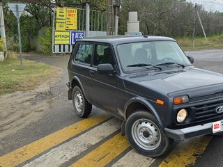 2019 Lada (ВАЗ) 2121 (4x4) I Рестайлинг, серый, 430000 рублей, вид 1
