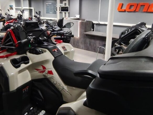 2026 Loncin XWolf 1000 Mud, бежевый, 1469000 рублей - вид 6