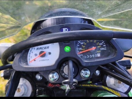 2023 Racer RC300B-F Panther PRO, зелёный, 110000 рублей, вид 5
